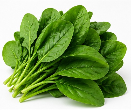 Green Spinach